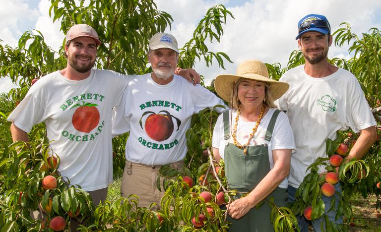 Henry, Jim, Carrie and Hail Bennett in their nationally famous peach orchards with luscious, mouth-watering peaches hanging in the background. 