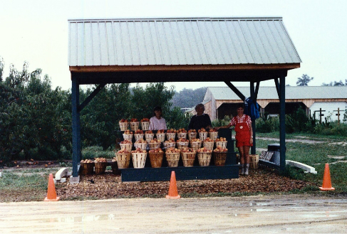 Bennett Family members selling baskets of tree ripened Bennett Peaches roadside in the 1980s. 